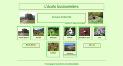 Desktop Screenshot of insectes.lecolebuissonniere.eu